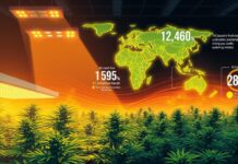 How To : Engineering Cannabis Climate Control How To : Engineering Cannabis Climate Control